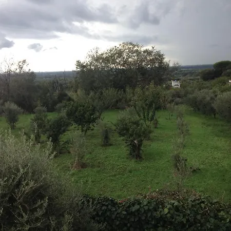 Holiday Collesanti