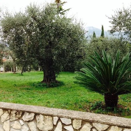 Holiday home Holiday Collesanti *